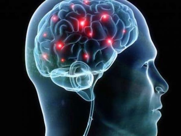Симптомы и лечение паразитов в головном мозге человека