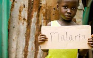 Признаки, симптомы и диагностика малярии у детей