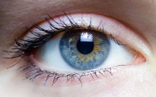 Симптомы и лечение глистов в глазах у человека