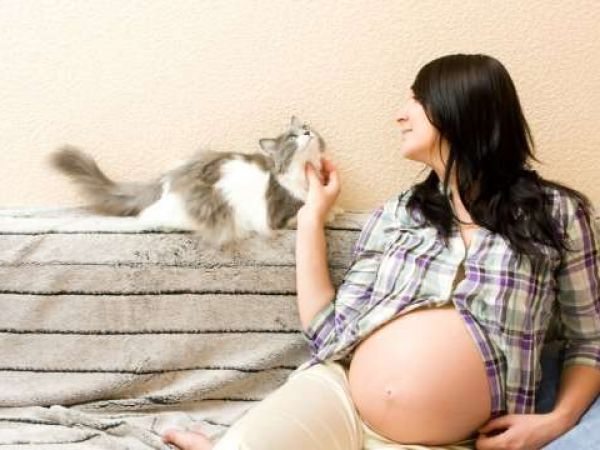 Признаки, симптомы и лечение токсоплазмоза при беременности