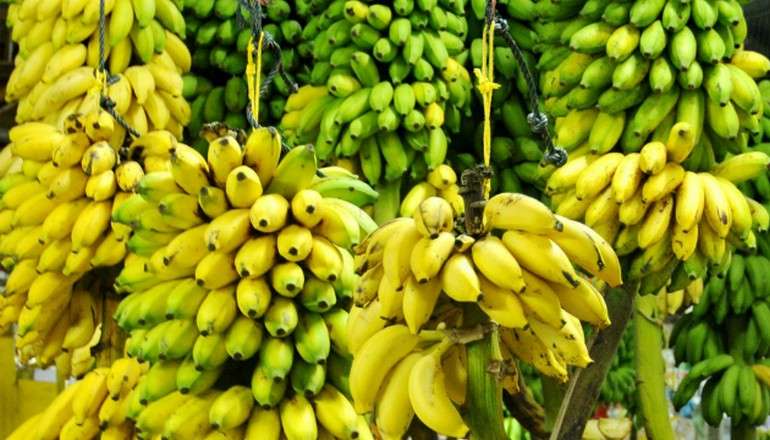 бананы пища