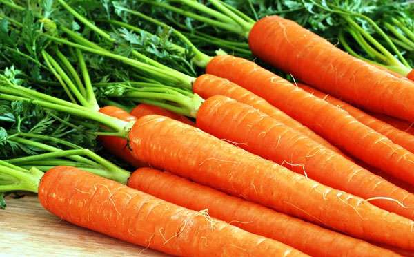 морковь очищение