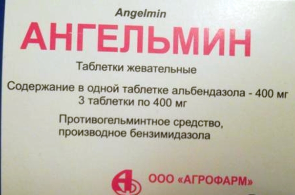 упаковка препарата Ангельмин